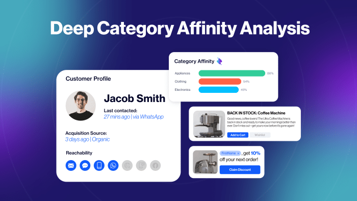  deep category affinity analysis zeki ai