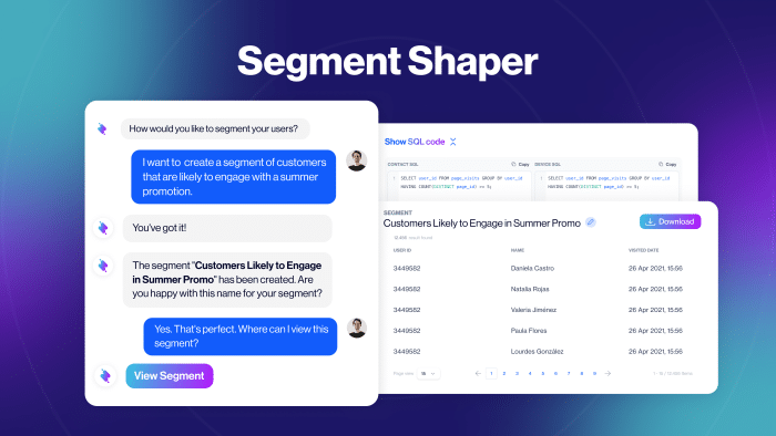 segment shaper zeki ai (2)